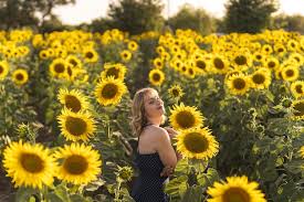 Girl Posing Next To Sunflowers Growing