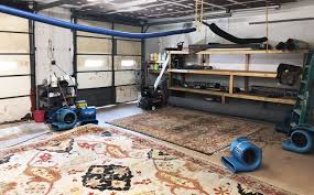 professional area rug cleaning service