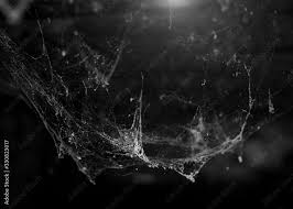 Horror Cobweb Spider Web In Old