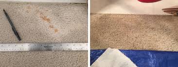 bleach spot permanent carpet stain