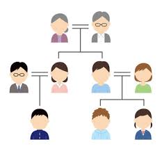 free vectors family tree ilration