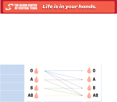 Blood Types Education Chart Free Download