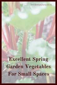 Excellent Spring Garden Vegetables For