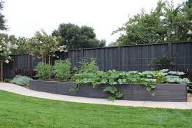 Trend Alert Black Stained Raised Beds
