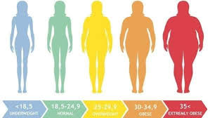 Body fat percentage chart for women. Body Fat Percentage Not Body Mass Index