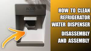 Refrigerator Water Dispenser Clean - Disassembly and Assembly - YouTube