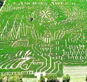 best corn maze in virginia