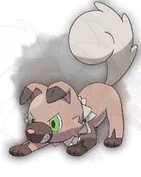 As i passed by egg 250 i was feeling pretty confident. Own Tempo Rockruff Dusk Lycanroc English Project Pokemon Forums