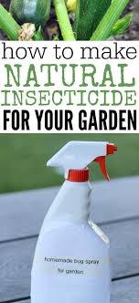 how to make homemade insecticide all