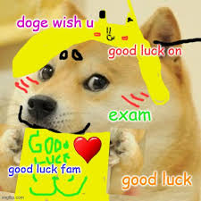 This is the smiling iq kitty.reblog for good grades!(and good luck on your exam!! Doge Meme Imgflip