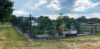 ten deer fence solutions for gardens