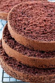 the best chocolate sponge cake