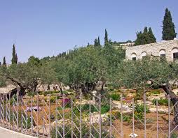 gethsemane holy land tours good
