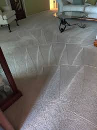 professional cleaning carpet care in