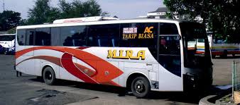 We did not find results for: Update Harga Tarif Tiket Bus Mira Surabaya Jogja Daftar Harga Tarif