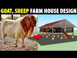 Goat Sheep Farm House Design Low