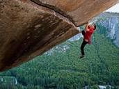 Alex Honnold Describes Why He Free Solo Climbs in His New Book ...