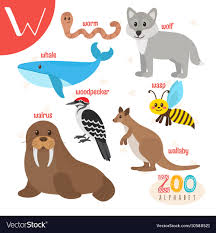 Letter W Cute Animals Funny Cartoon Animals In Vector Image