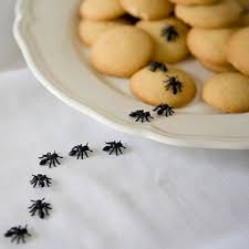 how to get rid of ants 8 home remes