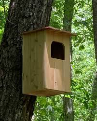 Screech Owl House Plans How To Build A