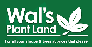 cafe wals plant land for all your