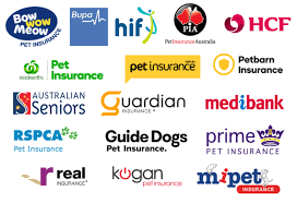 Pet Insurance Companies Australia gambar png