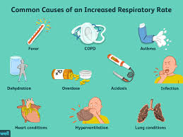 Normal Respiratory Rates In Adults And Children
