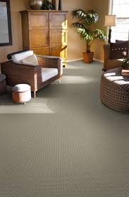 best carpeting for your al property