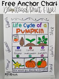 Free Pumpkin Anchor Chart Keeping Up With Mrs Harris