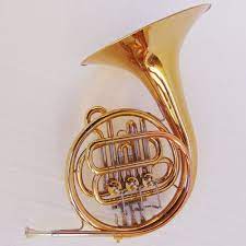 Instrumento Musical Sopro Trompa Si Bemol Waldman 3 Rotores | Parcelamento  sem juros
