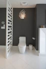clever design ideas to hide the toilet