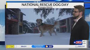 Celebrating national dog day with lucky dog animal rescue wjla this entry was posted in animal rescue and tagged animal rescue by google inc. National Rescue Dog Day Conchovalleyhomepage Com
