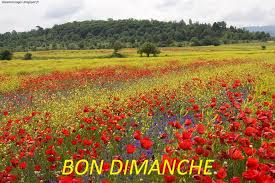 IMAGE BON DIMANCHE - MESSAGES DOUX