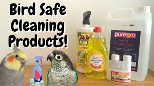 bird safe cleaning s