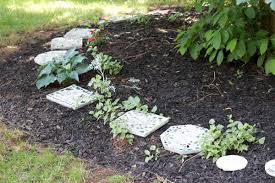 Diy Cement Stepping Stone Home Design