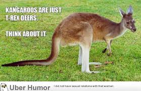 Kangaroos… | Funny Pictures, Quotes, Pics, Photos, Images. Videos ... via Relatably.com