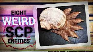 The WEIRDEST SCP Entities of all Time (Top SCP's) - YouTube