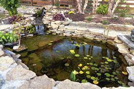 Types Of Landscape Water Features