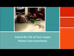 stainmaster carpet cushion