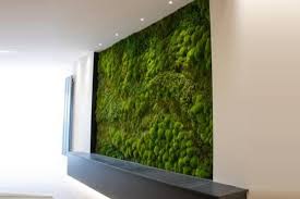 Moss Walls Make A Stunning Feature Wall