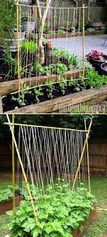 Check spelling or type a new query. 19 Successful Ways To Building Diy Trellis For Veggies And Fruits Homedesigninspired