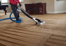 carpet cleaning paso robles ca skyy