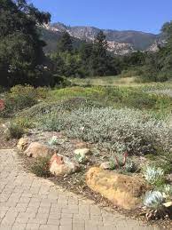 santa barbara botanic garden