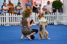 FCI Dog Dance World Championship - World Dog Show Leipzig 2017 » wds2017.de