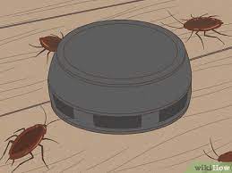 how to get rid of roaches 13 ways to