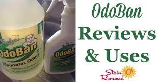 odoban odor eliminator reviews uses