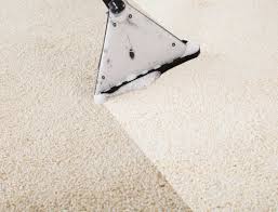 la mesa carpet cleaning n f carpet care