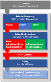 Psychological stress and the coping process. Physik