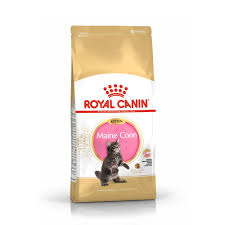 Before you buy a kitten, adopt a kitten! Royal Canin Maine Coon Kitten Buy Kitten Food Online Canine Co