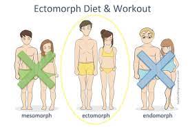 ectomorph t workout hard gainer s